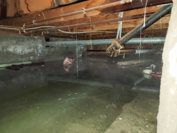 Best Fire Damage Restoration  in Flatonia, TX