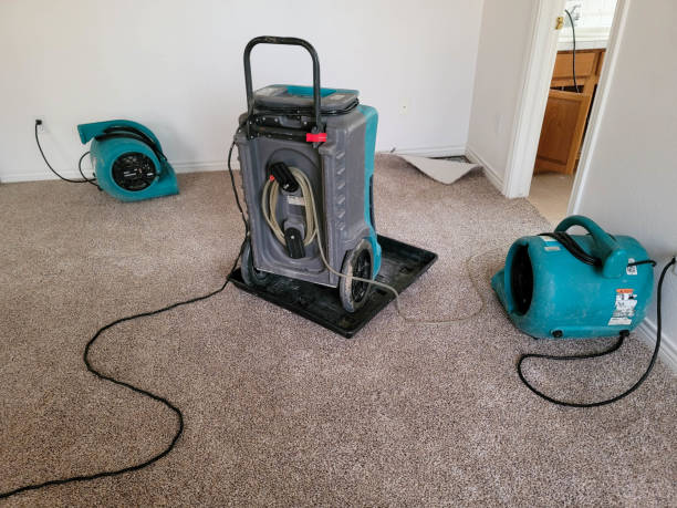 Best Professional water damage repair  in Flatonia, TX