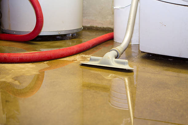 Best Flooded house restoration  in Flatonia, TX