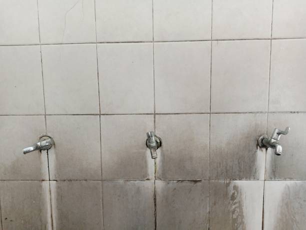Best Water damage contractors near me  in Flatonia, TX