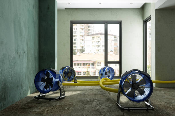 Carpet water damage restoration in Flatonia, TX